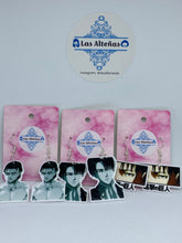 Load image into Gallery viewer, ATTACK ON TITAN EARRINGS